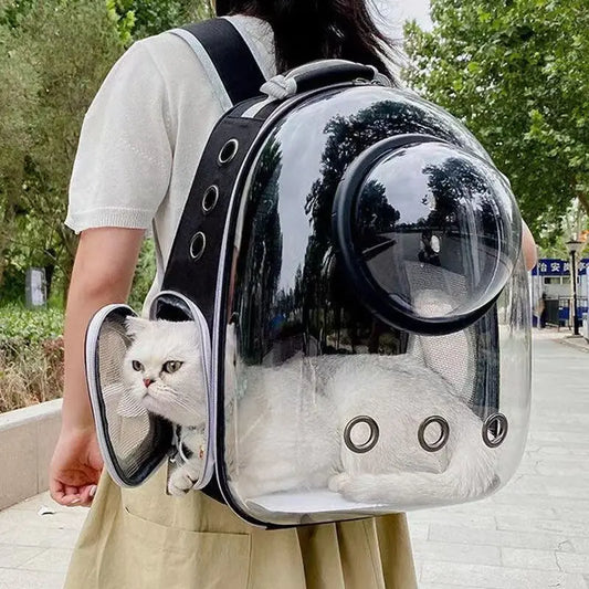 Pet Backpack Carrier 